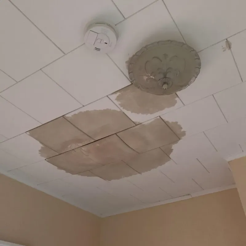 Ceiling Water Damage Repair in Franklin County, IN