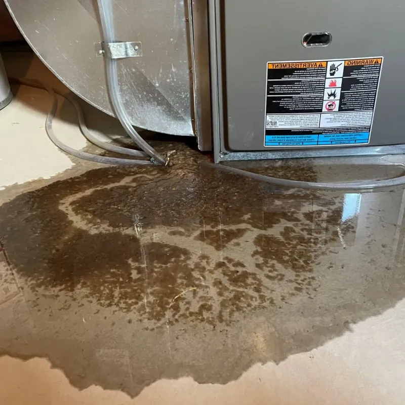Pipe Burst and Leak Restoration in Franklin County, IN