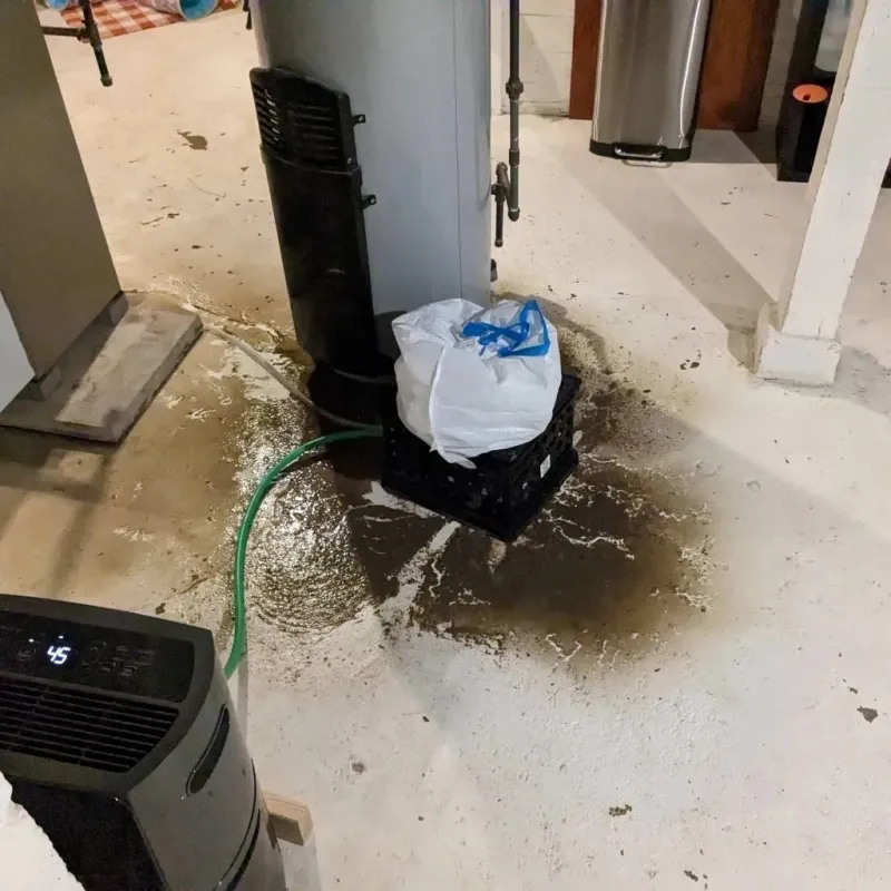 Sewage Backup Cleanup Service in Franklin County, IN